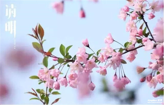 关于2019年清明节的放假通知