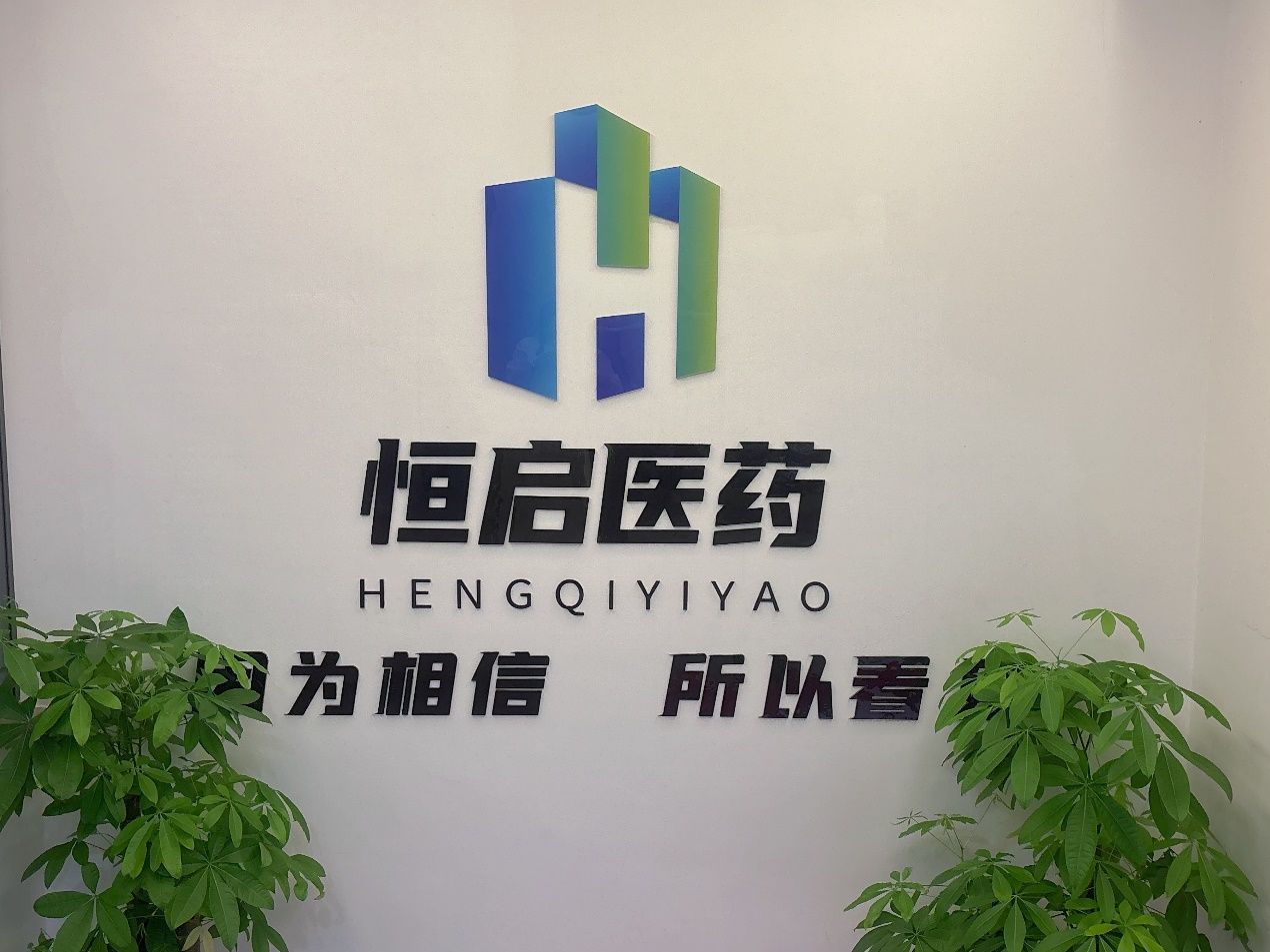 重庆恒启医药携手金博，搭建医药批发企业数智化管理平台